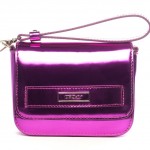 cartera metalizada de dkny