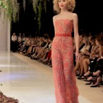 Jorge Ibañez Mysterious Garden