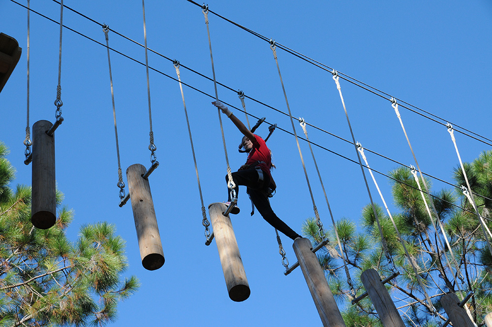 orlando-tree-trek